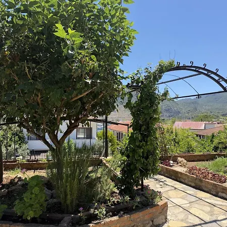 Lodos Selimiye - Spacious Vacation With Private Pool Marmaris